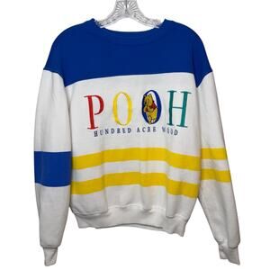 Disney Winnie The Pooh Hundred Acre Wood Colorblock Embroidered Sweatshirt Sz SM